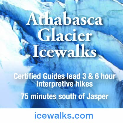 Athabasca Icewalk