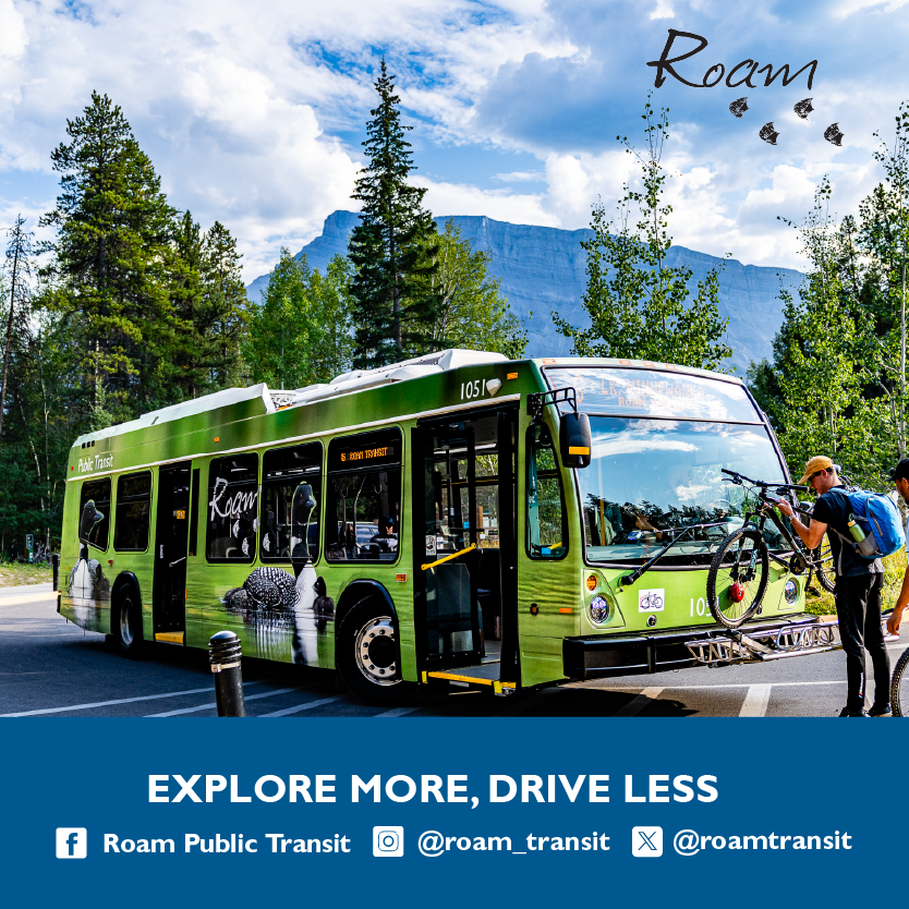 The Dining Guide - Dining Guide