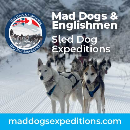 Mad Dogs & Englishmen Mad Dogs & Englishmen